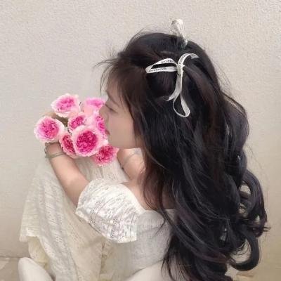舞向死亡的少女 在线观看封面