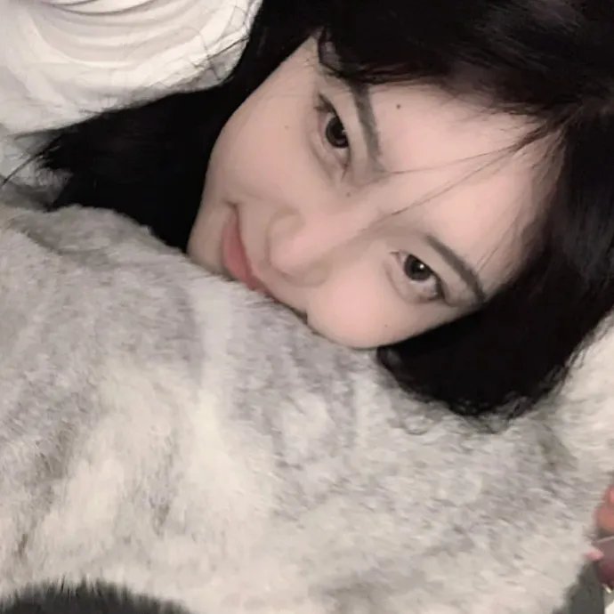 小小羊儿要回家 在线观看封面